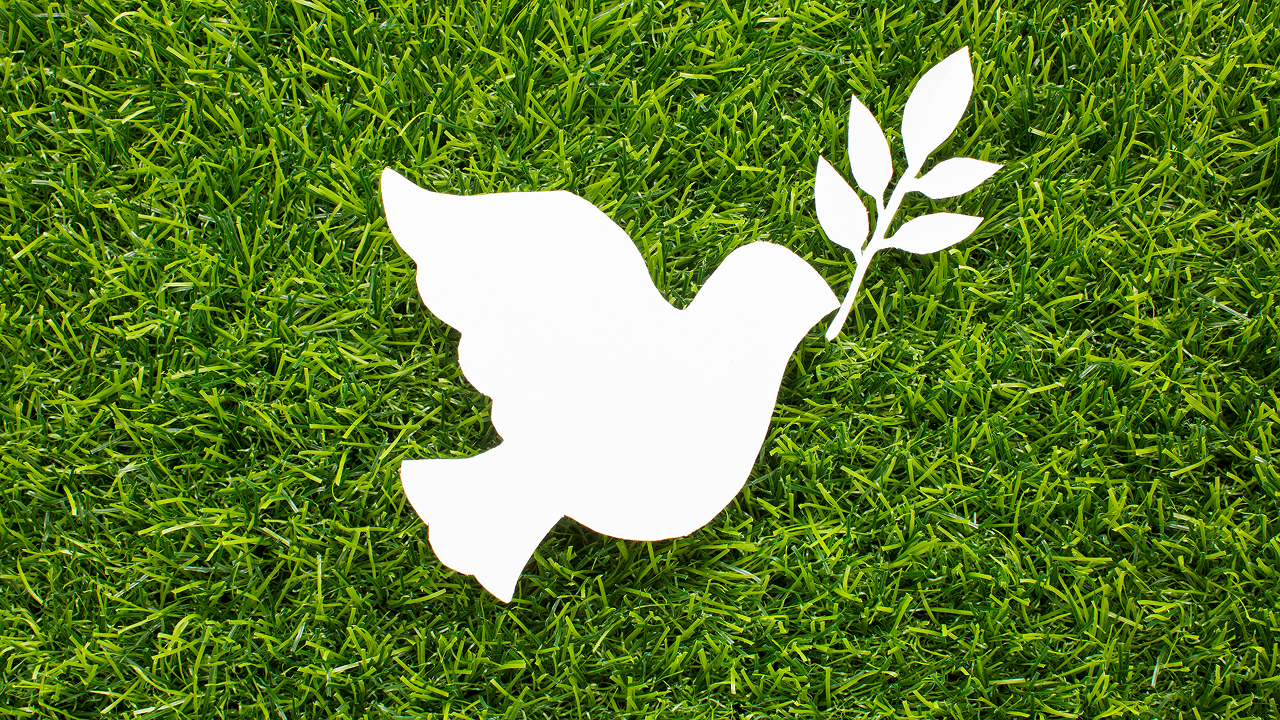 Equity, Inclusion & Social and Environmental Justice