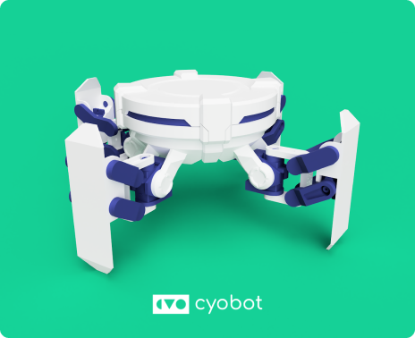 Cybot Project Photo