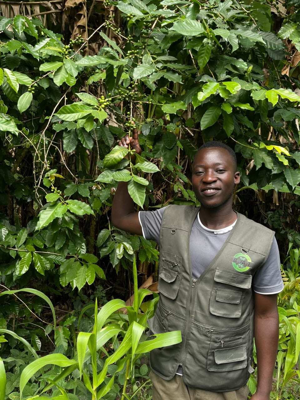 Lake Kivu Coffee Experience – From Crop to Cup