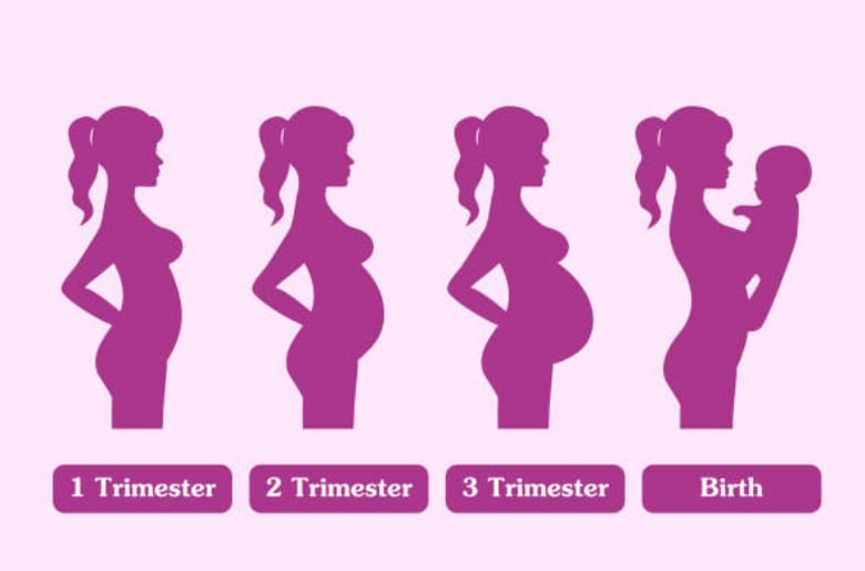 website blog image front (1) First Trimester Car