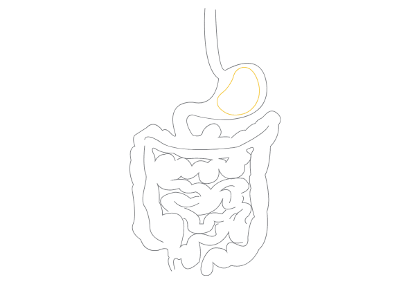 GASTRO Pediatric Gastroenterology