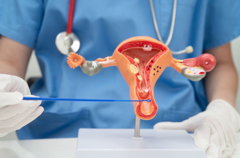 Vaginal Itching: Common Causes, Treatment & Prevention