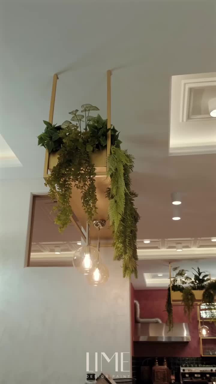 54_mhgnvk