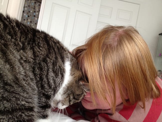 What Do cats mean when they rub themselves against their owner's body