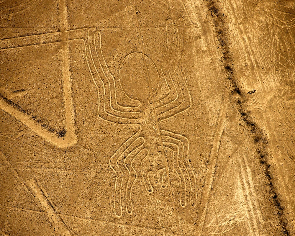 the Nazca Lines