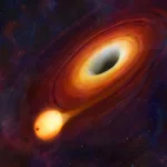 Black Hole