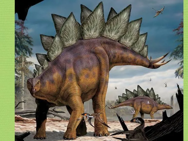 Stegosaurus