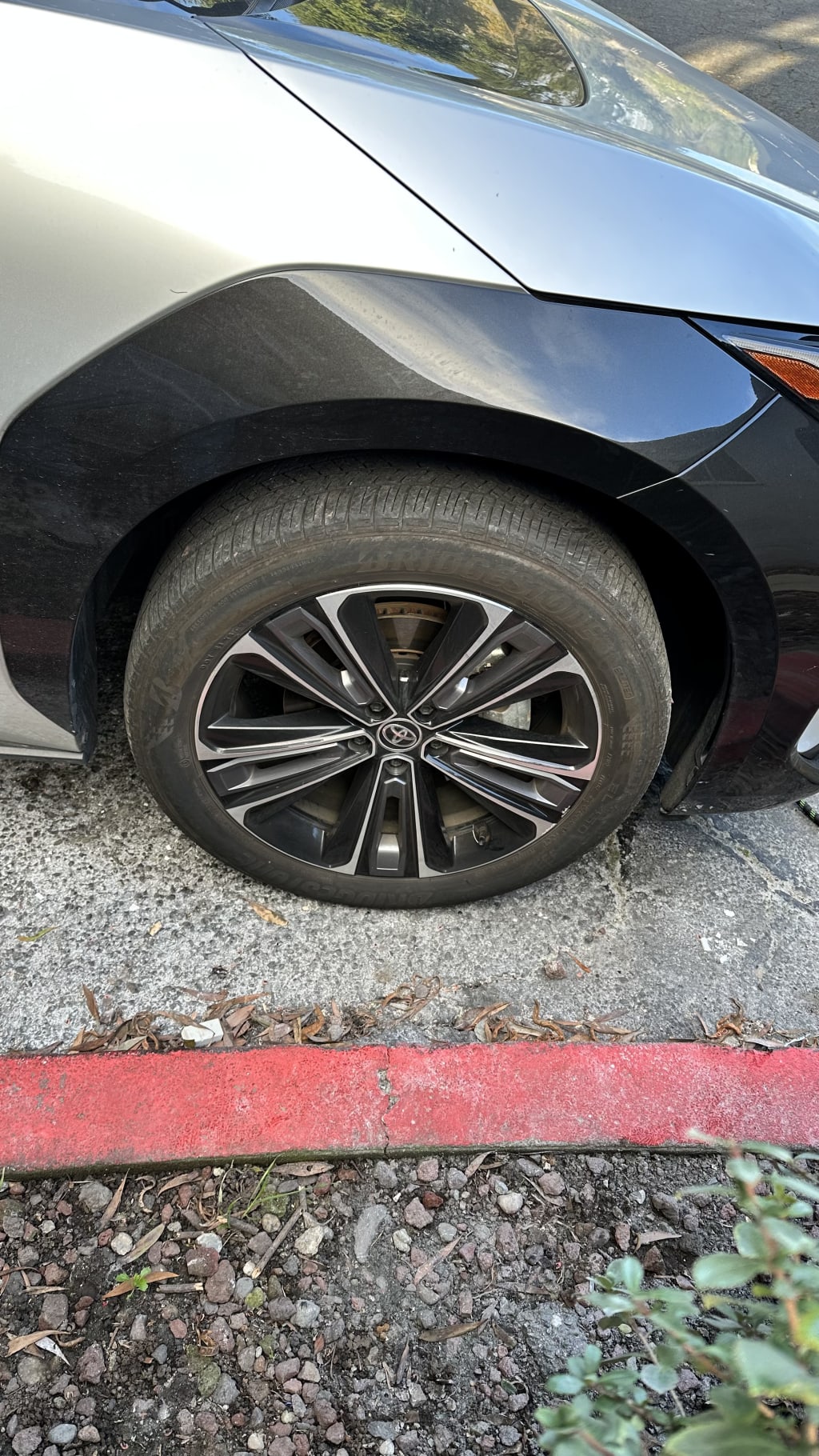 Exterior Wash, Shine & Protection — real result 8