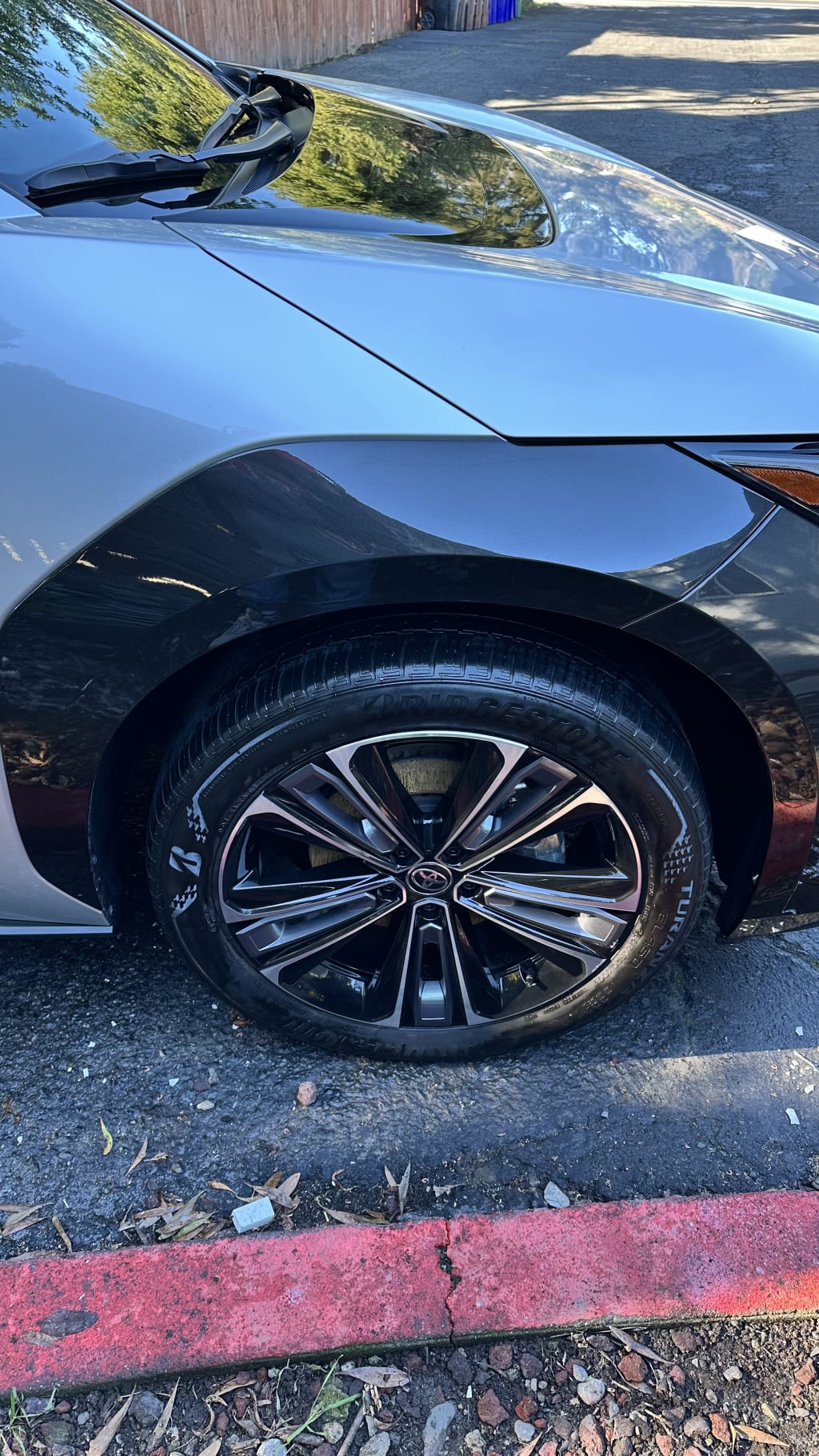 Exterior Wash, Shine & Protection — real result 9