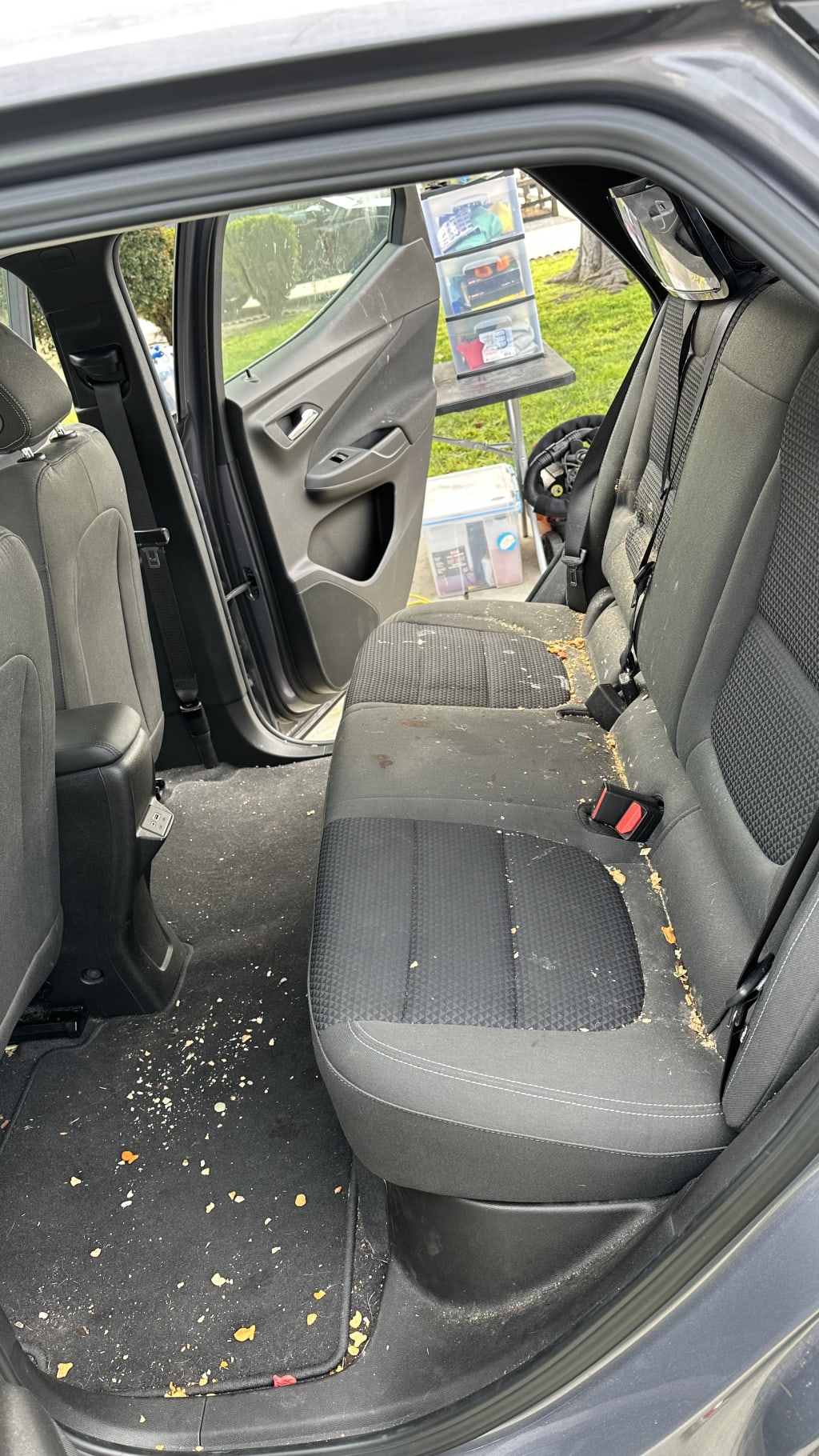  Deep Interior Cleaning & Protection — real result 7
