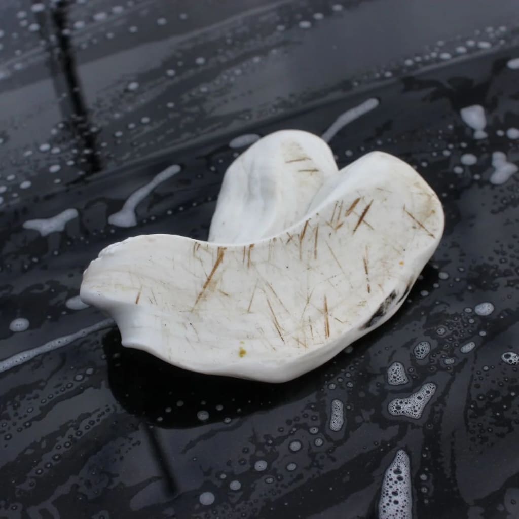 Clay Bar Decontamination — real result 6