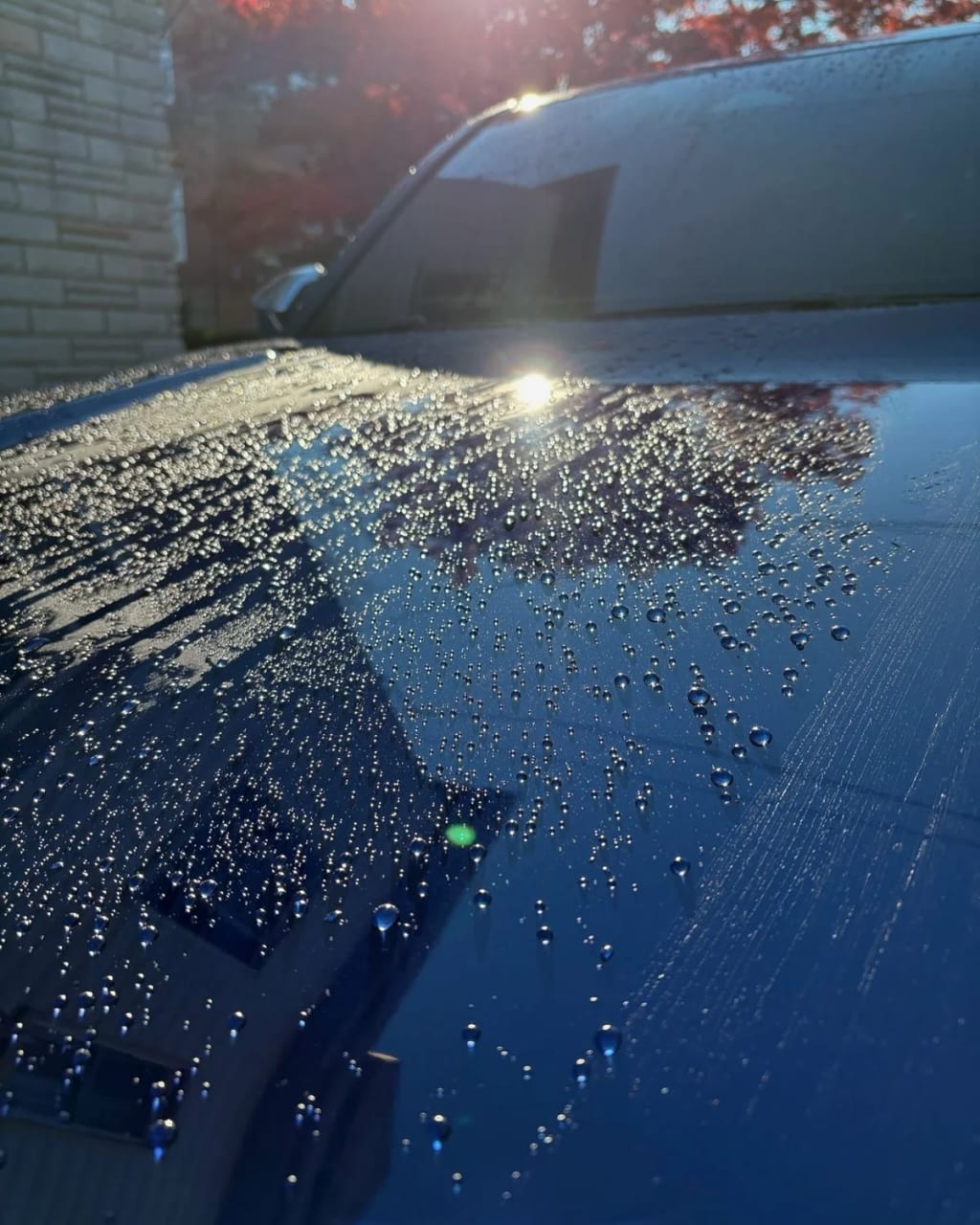 Ceramic Coating — real result 9