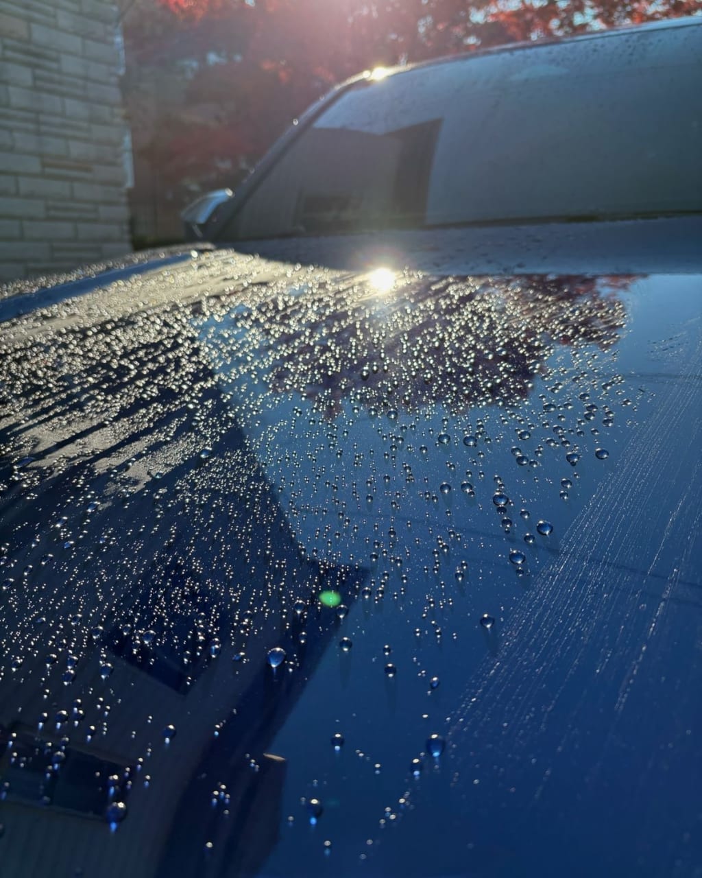Ceramic Coating — real result 8