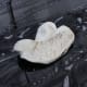Clay Bar Decontamination thumbnail 6