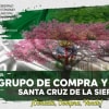 Santacruz vende