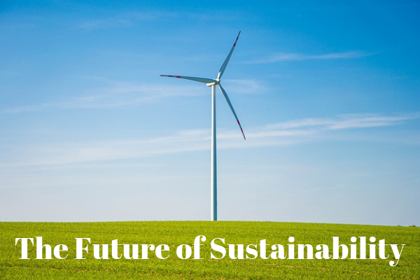 The Future of Sustainability