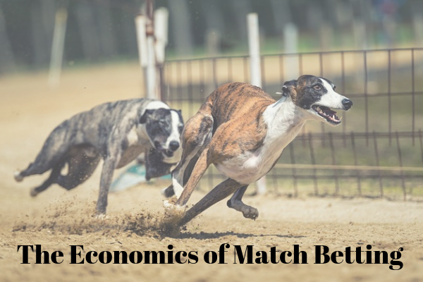 The Economics of Match Betting