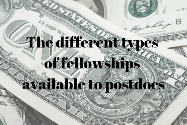 The different types of fellowships available for postdocs