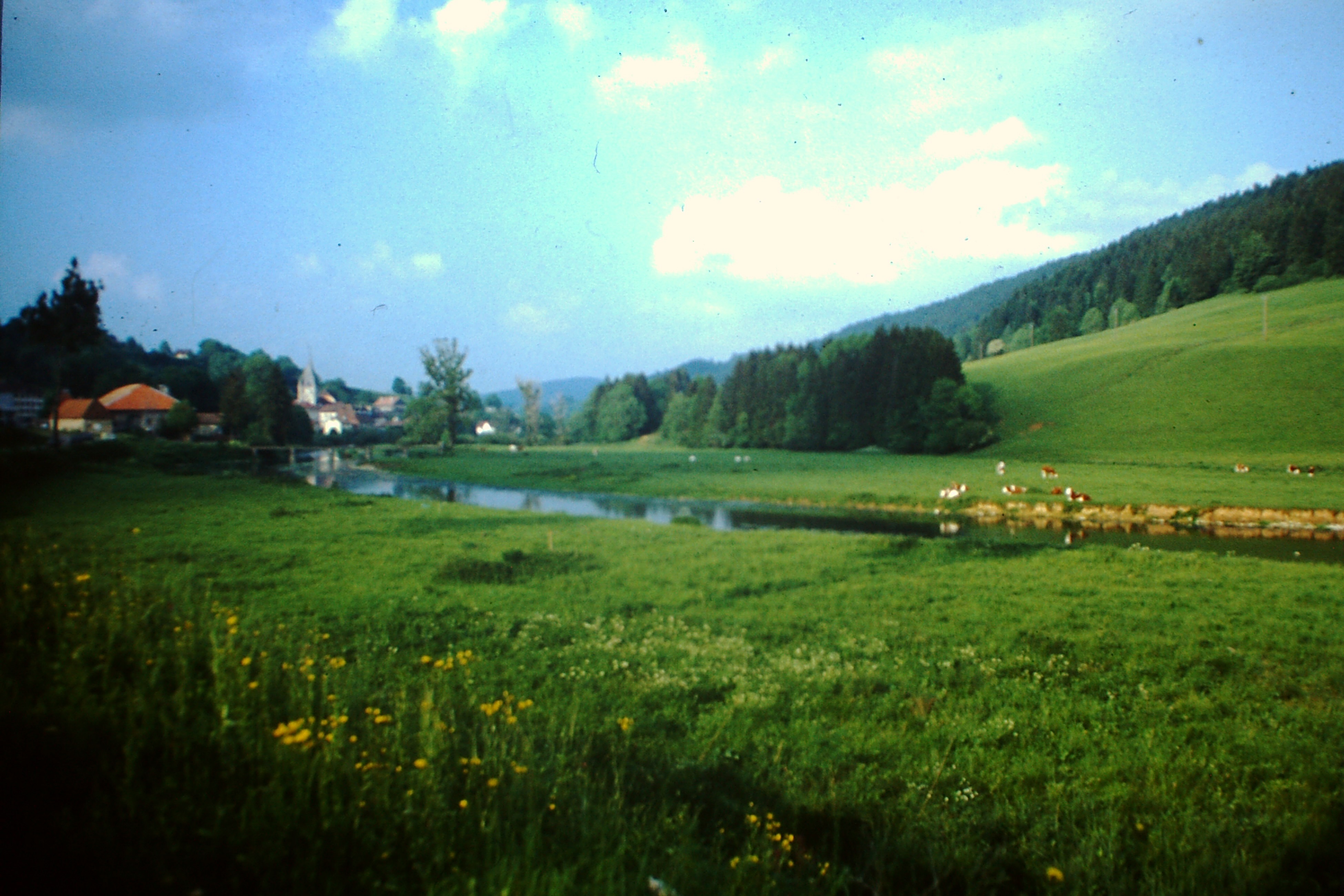 Mazamet → Annecy, avant-tour 1985 Mazamet → Annecy, avant-tour 1985