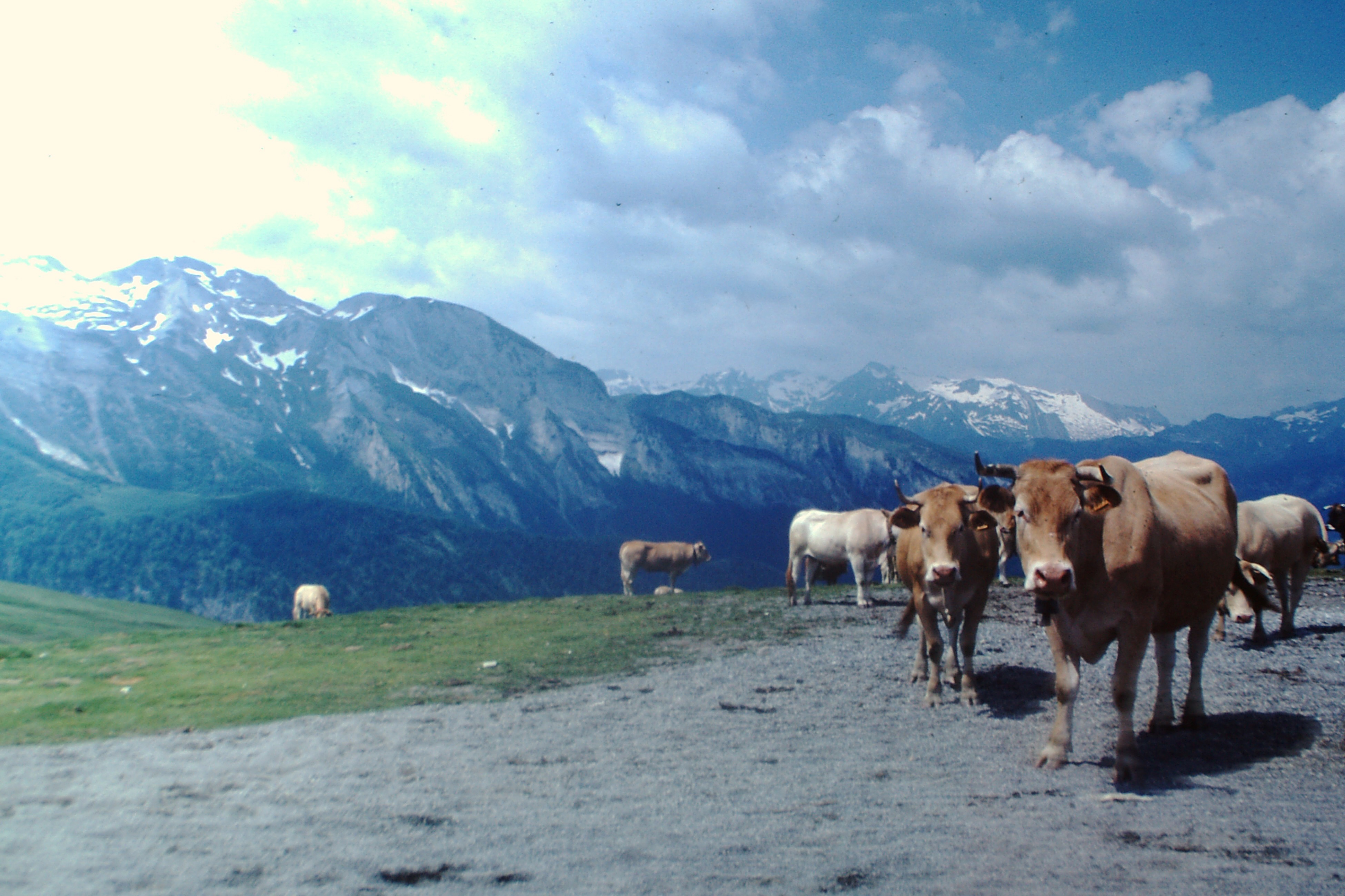 Olette → Audressein, 19 juin 1983, cols pyrénéens