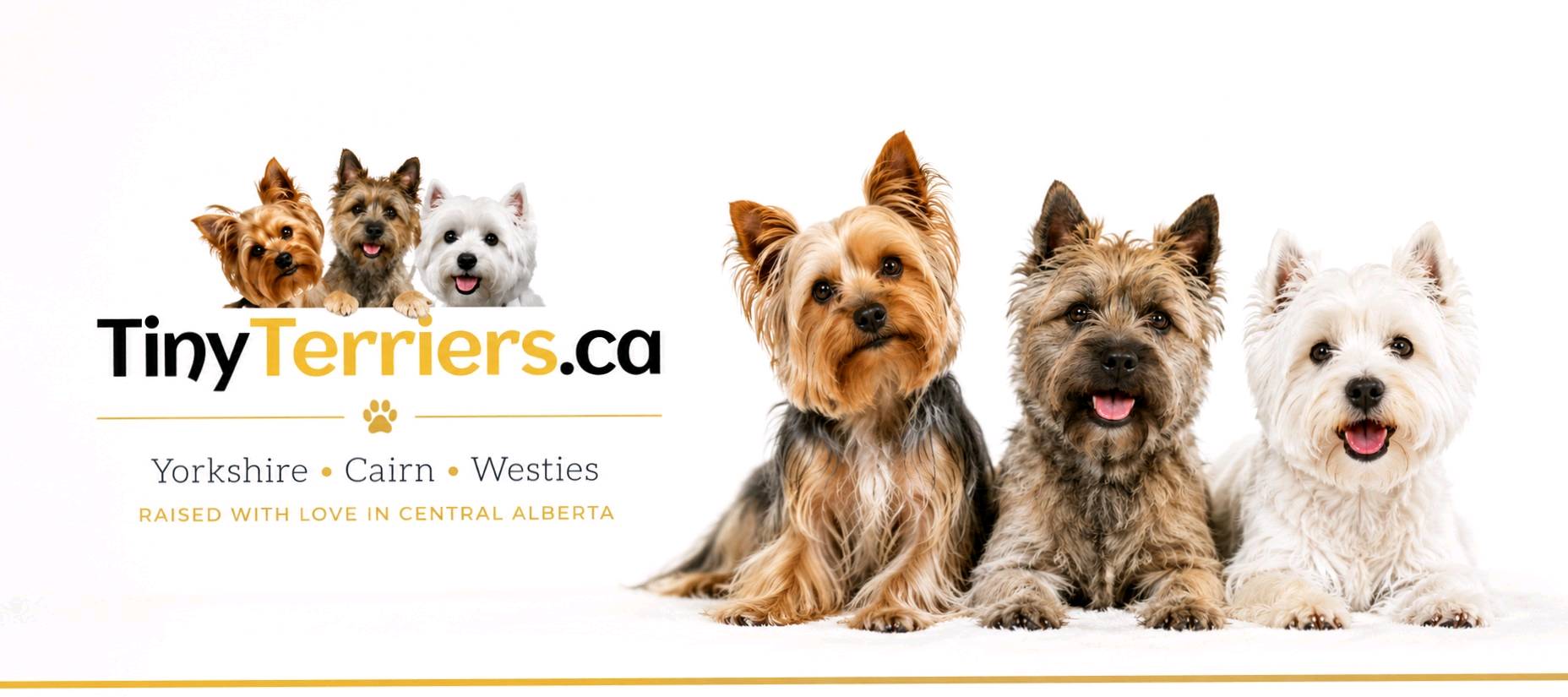 MacKay's Tiny Terriers Pupify Den banner