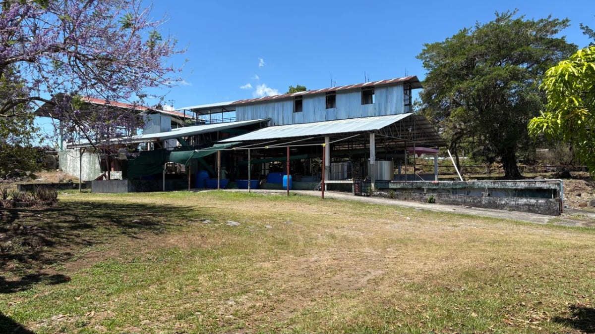 Planta de procesamiento