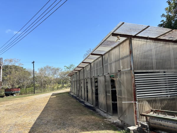 Vista exterior del invernadero