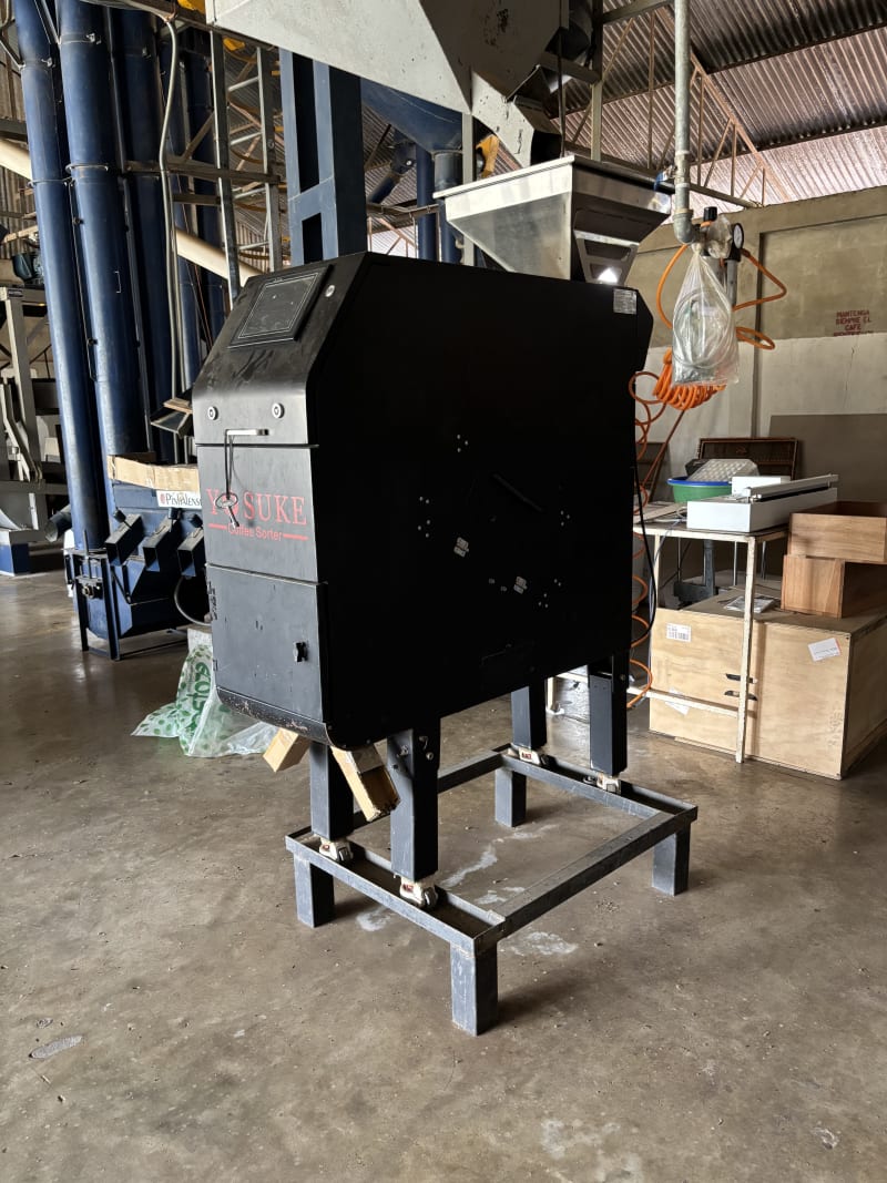 Clasificadora láser de café