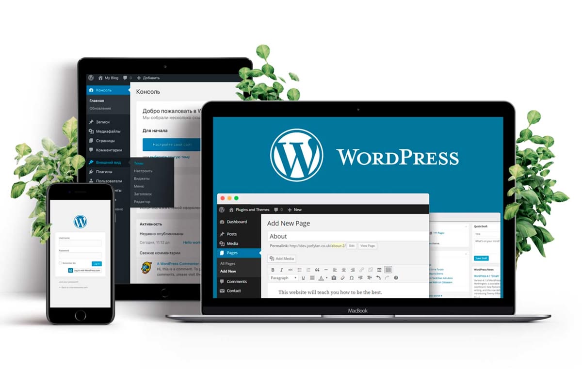 Website Design Course Delhi