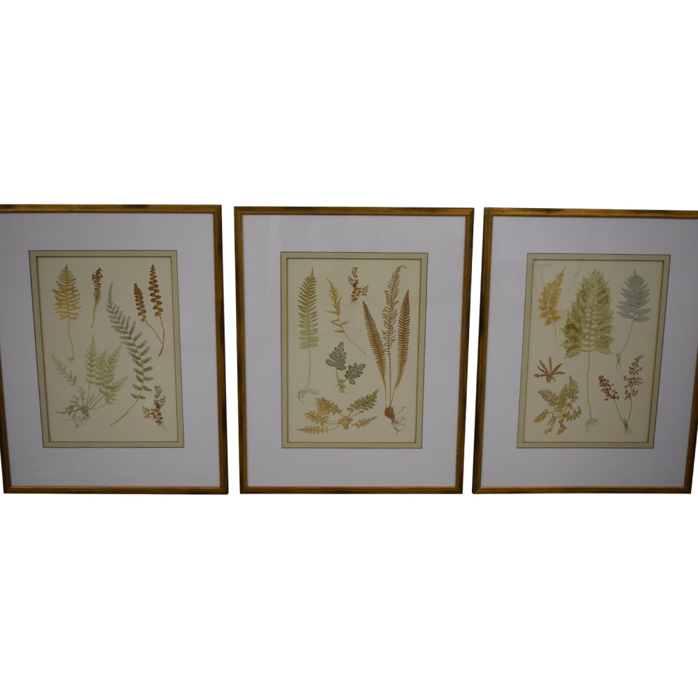 shop Ethan Allen Foliage Artwork Ethan Allen Decor