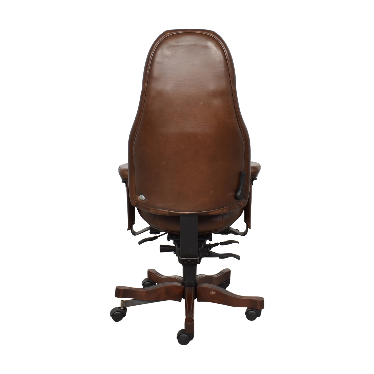 Executive Back Support Cushion – LIFEFORM Chairs USA