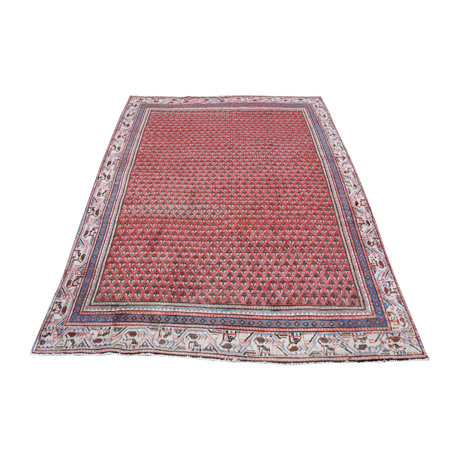 Traditional Rugs Clearance Sale