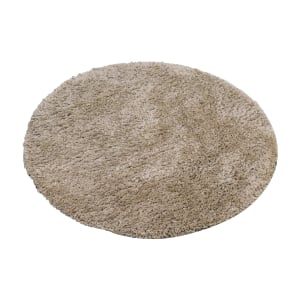 Pottery Barn  Pottery Barn Microplush Shag Rug Decor