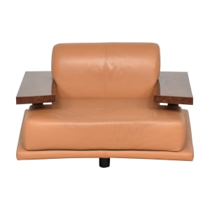 Modern Lounge Chair  / Chairs
