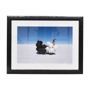  Gray Malin Llamas Black and White Balloons Framed Wall Art coupon