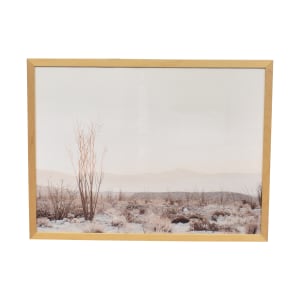 Minted Ocotillo Art Print by Kamala Nahas Minted