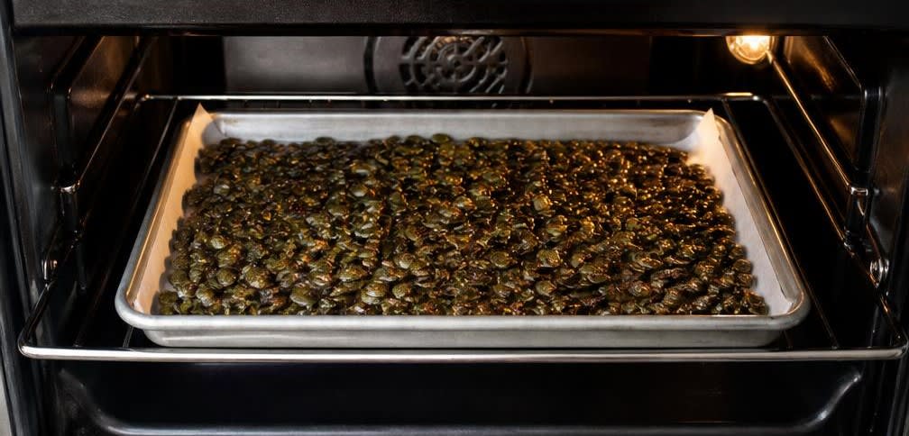 Geröstete Kürbiskerne mit Meersalz und Zitrone – Zubereitung Schritt für Schritt – Im Ofen rösten