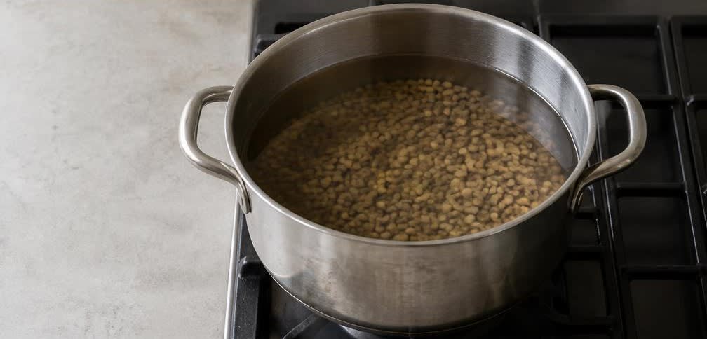 Mujadara - Orientalischer Linsen-Reis-Topf mit Röstzwiebeln – Zubereitung Schritt für Schritt – Linsen vorkochen