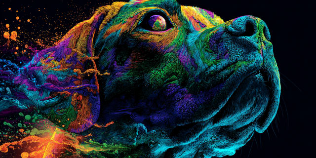 Pintura surrealista vibrante de un labrador mirando hacia arriba en una profunda oscuridad iluminada por líneas de neón arcoíris, que representa un hábito mental extraviado