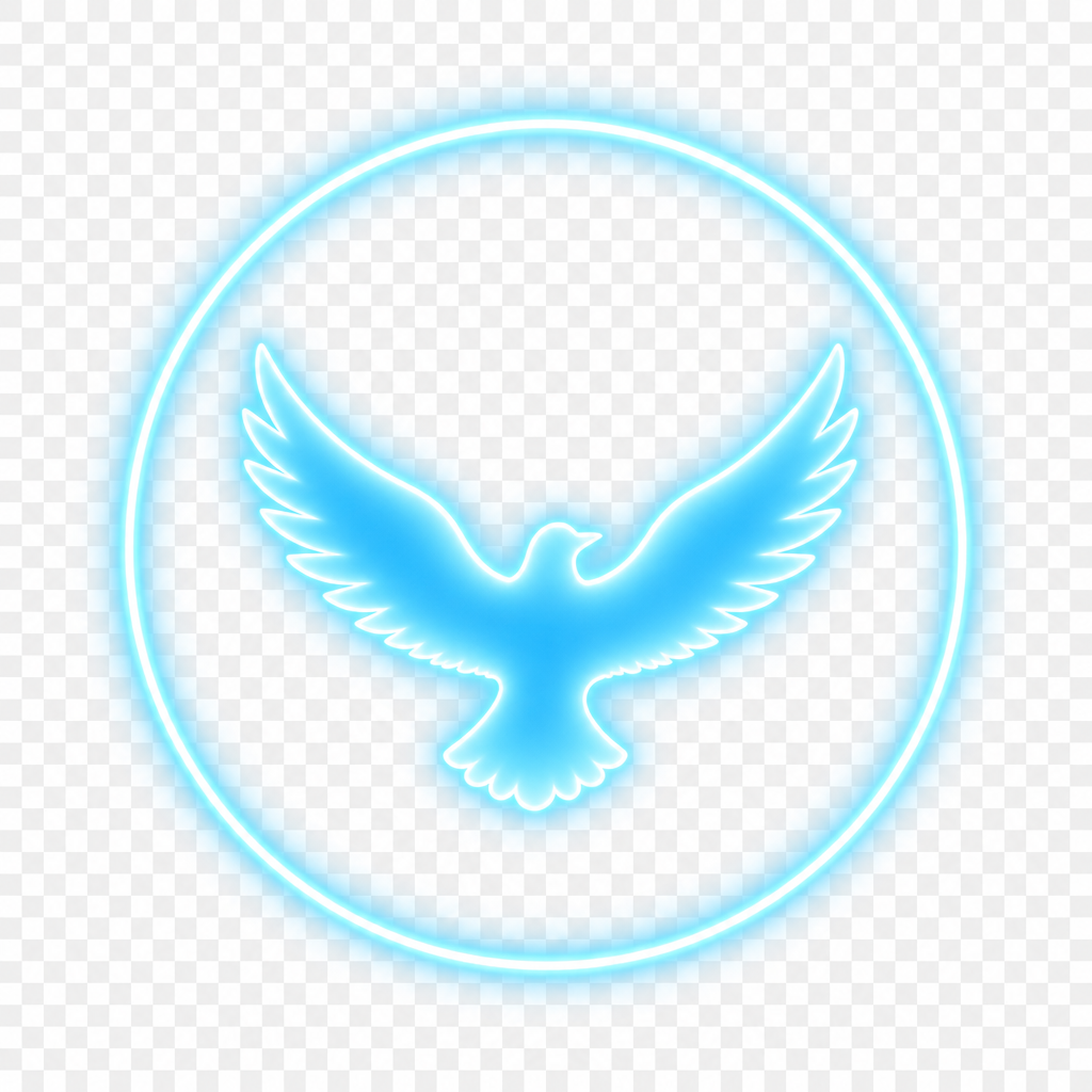 Flying icon