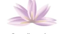 PHLOX Nutraceutical – Local Shops & Traders in Karachi