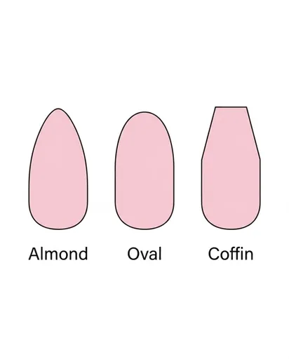 Clean diagram comparing three nail shapes side by side — almond with tapered sides and rounded peak, oval with uniform curve, and coffin with flat squared tip Clean diagram comparing three nail shapes side by side — almond with tapered sides and rounded peak, oval with uniform curve, and coffin with flat squared tip