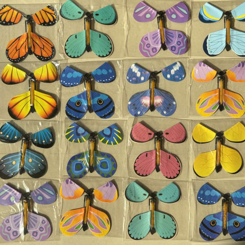 Butterflies