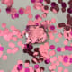 Pink Confetti