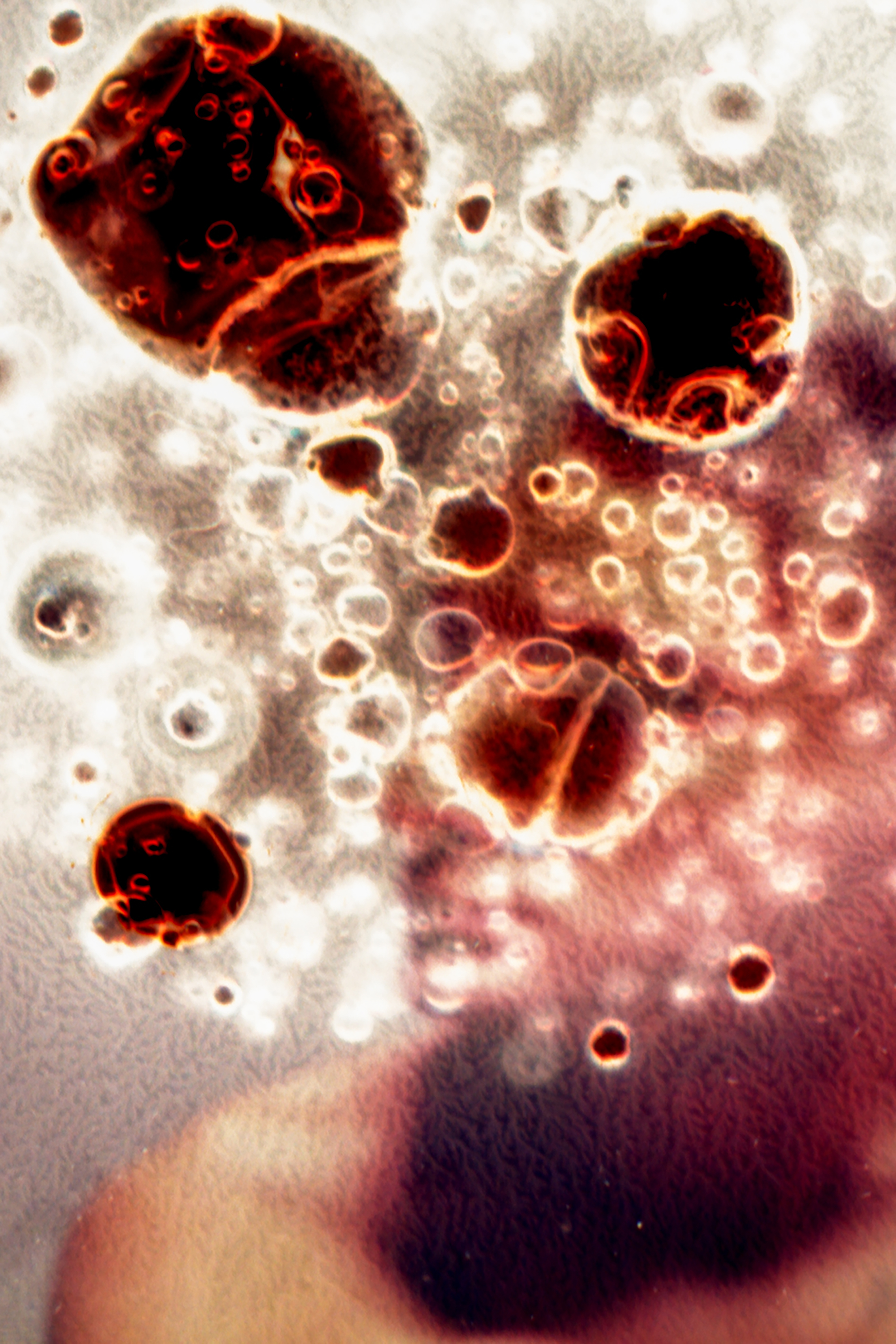 Self Annihilation 16