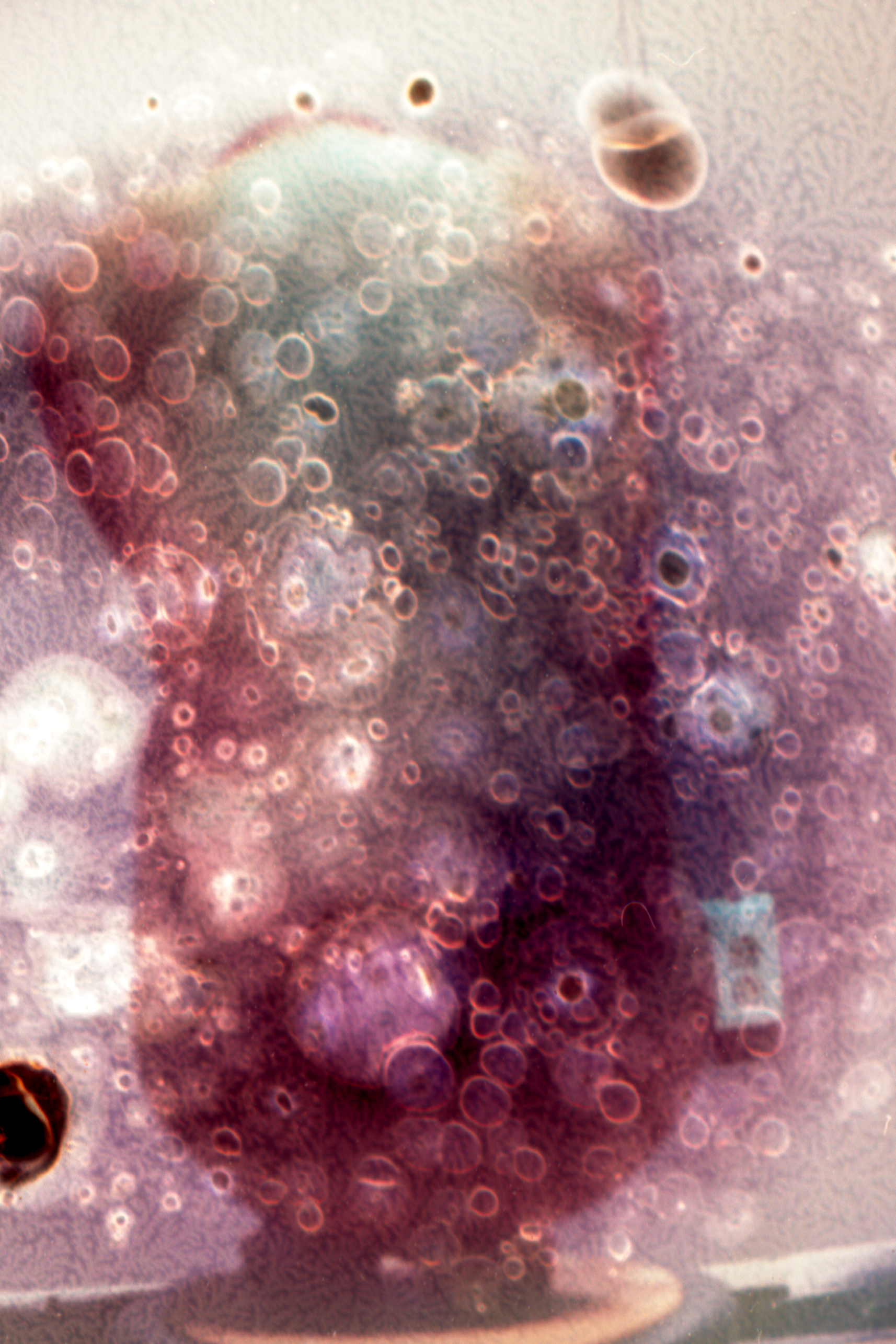 Self Annihilation 10