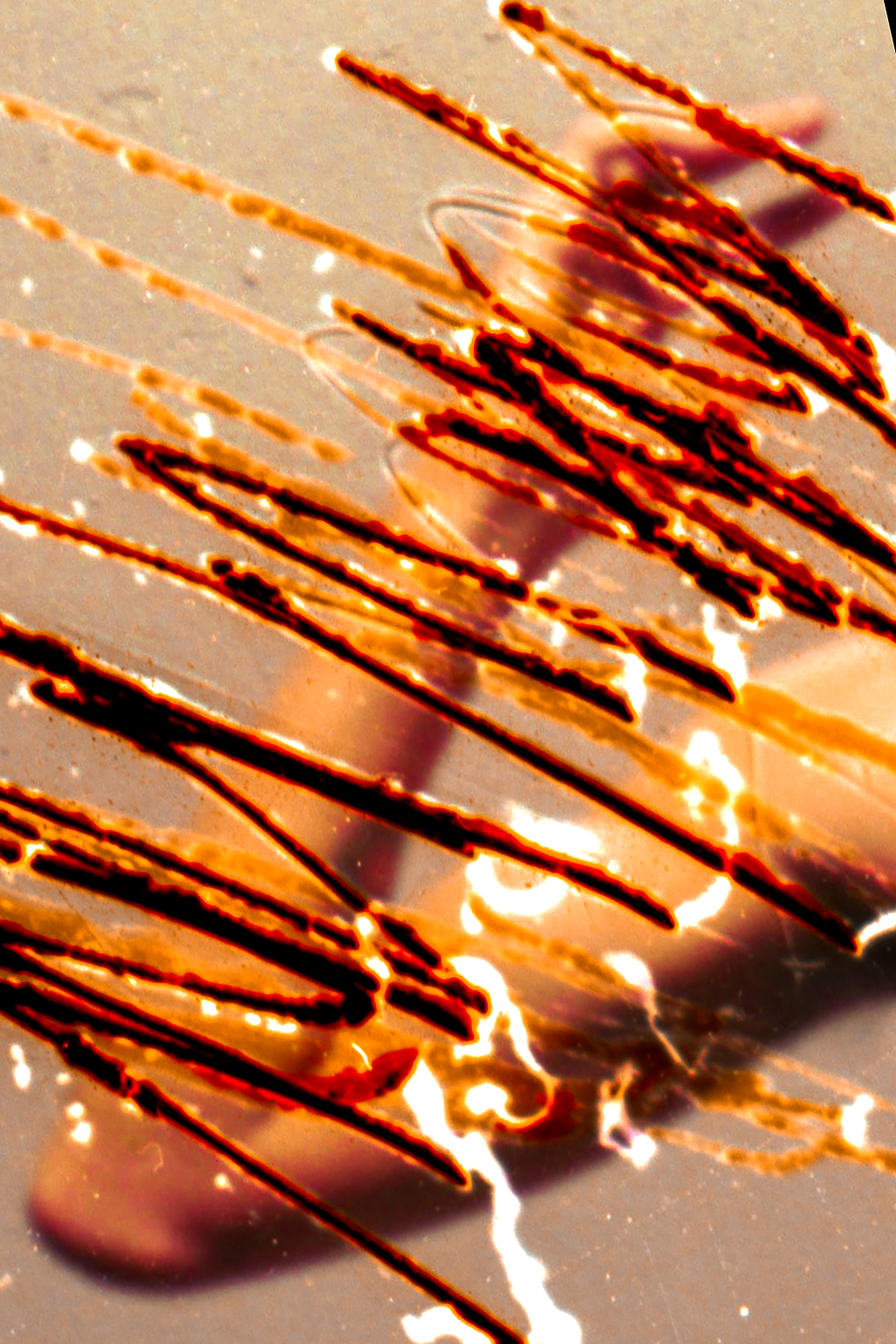 Self Annihilation 15