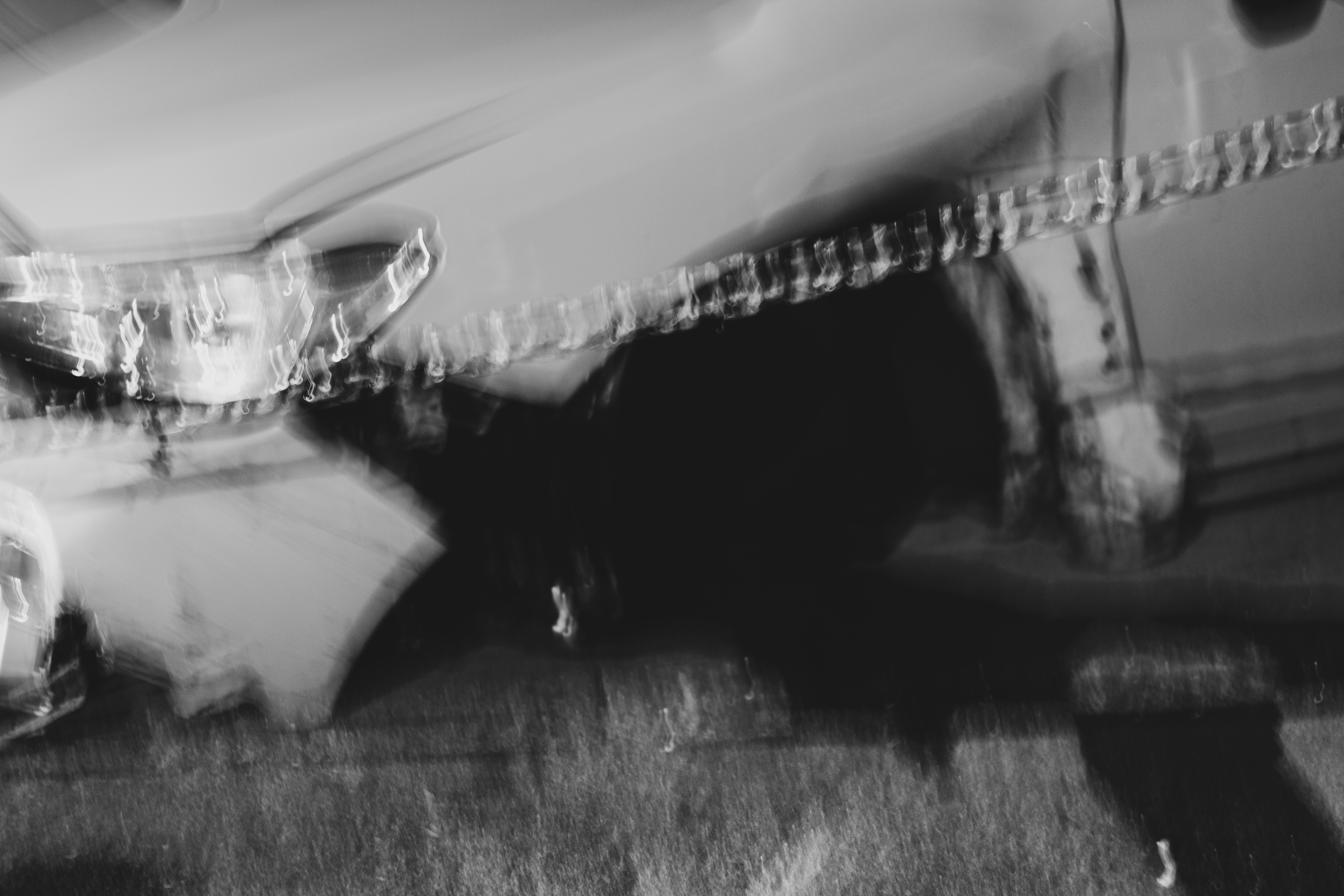 What We Were Left With 12