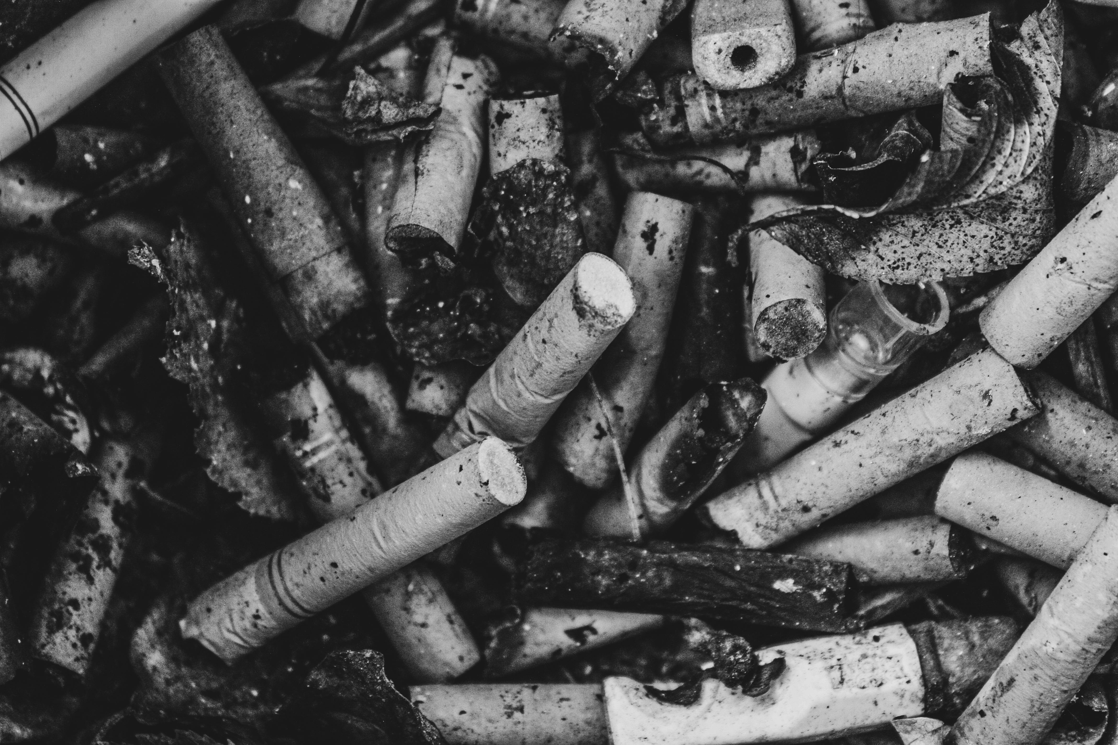 What We Were Left With 4