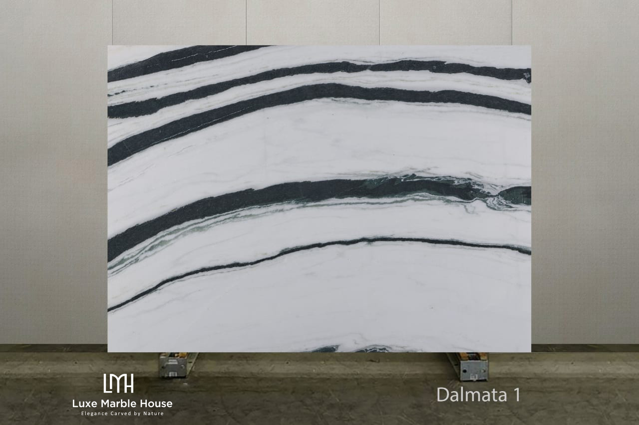 Dalmata 1